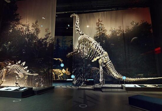 Museum